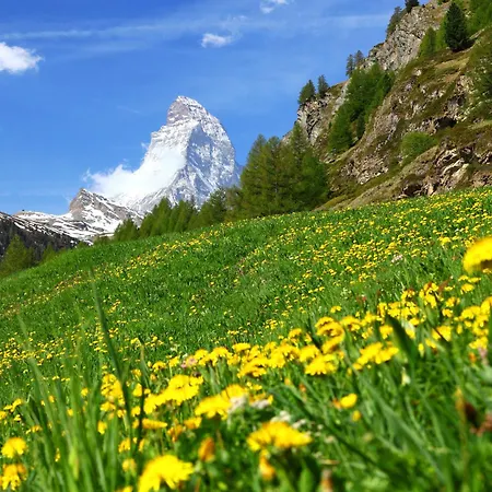 Apartment Verte-rive By Interhome Zermatt